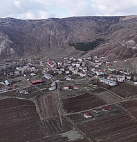 5 fidanla başladı, 3 bin ağaca ulaştı