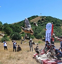 500 keklik doğaya salındı