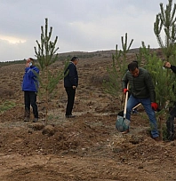 58 bin fidan toprakla buluşturuldu