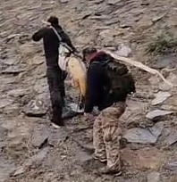 60 kilo turna omuzlarda taşındı