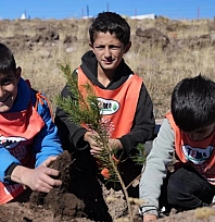 '81 İlde 81 Orman' projesi devam ediyor