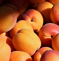 85 milyonun aklına kayısı deyince Malatya geliyor! Malatya kayısısı, yerel lezzetler arasında zirveye oynuyor!