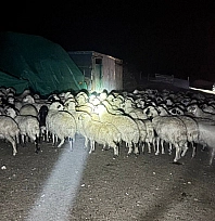 9 saat süren arama sonuç verdi