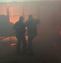 Adıyaman'da büyük panik!