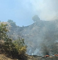 Adıyaman-Malatya karayolunda 1 hektarlık orman küle döndü