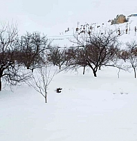 Akçadağ'da kar kalınlığı 1 metreye yaklaştı