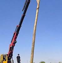 Anız yangınları enerji altyapısını da tehdit ediyor