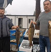 Araban'da soğuk hava balığa talebi artırdı