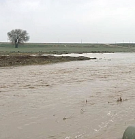 Araban Ovası'nda sağanak etkili oldu