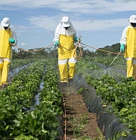Arguvan'da endüstriyel tarım dayatması