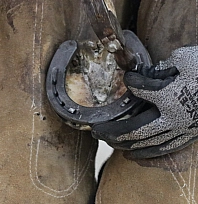 Asırlık gelenek bitiyor