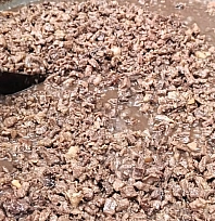 Asırlık Lezzet Kışa Hazırlanıyor: Kavurma Geleneği Yaşatılıyor