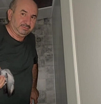 Asma tavanda mahsur kalan güvercin kurtarıldı