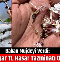 Bakan müjdeyi verdi: 11,6 milyar TL hasar tazminatı ödendi…