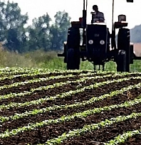 Bakan Yumaklı müjdeyi verdi: 195 milyon TL'lik destek ödemeleri başladı…