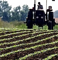 Bakan Yumaklı müjdeyi verdi: 634,3 milyon TL hesaplara yatırıldı