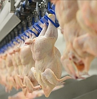 Bakanlık duyurdu: Pazartesiden sonra satılmayacak!