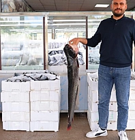 Balık pazarı hareketlendi