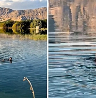 Barajda erkek cesedi bulundu! Ekipler 20 dakika sonra sudan çıkardı