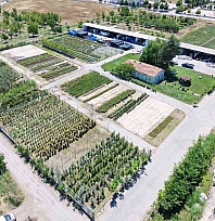 Battalgazi Belediyesi kendi ürettiği bitkilerle yeşilleniyor