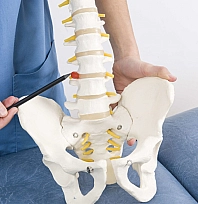 Bel Fıtığı Tedavisinde Devrim: Aynı Gün Ayağa Kalkın