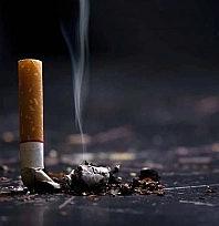 Bir Gün Değil, Bugün Başla: 20 Dakika Sonra Mucize Başlıyor!