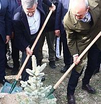 Bir yılda 2 bin 800 orman yangını...