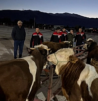 Canlı hayvan pazarı yeniden açıldı