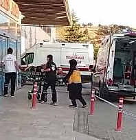 Ceviz ağacından düşen kişi yaralandı