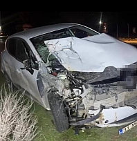 Ceylanpınar'da otomobil, at arabasına çarptı: 2 yaralı