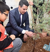 Cumhuriyet'in 103. yılına özel 103 fidan dikildi