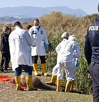 Çürümüş erkek cesedi bulundu