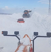 Darende'de kar altında kalan araçlar gün yüzüne çıktı