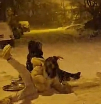 Karla gelen eğlence