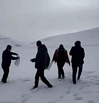 Darende'de yaban hayvanları unutulmadı