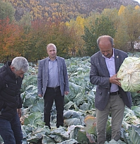 Dededen toruna miras: 20 kilo ağırlığında üretiliyor...