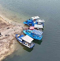 Malatya'nın gelir kapısı oldu: Günlük 2 ton toplanıyor, Ortadoğu ülkelerine satılıyor…