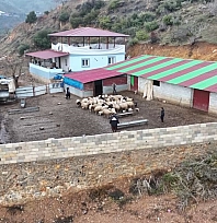 Depremzede besici devlet desteğiyle hayata tutundu