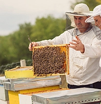 Destek ödemeleri yüzde 51 artırıldı!