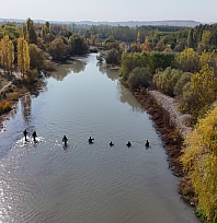 Dicle Üniversitesi'nde tedavi gören polis memuru kayboldu