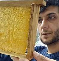 Doğal balın kilosu bin TL'ye ulaştı