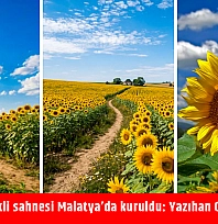 Doğanın en renkli sahnesi Malatya'da kuruldu: Yazıhan Ovası büyülüyor