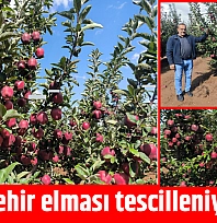 Doğanşehir elması tescilleniyor mu?