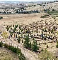 Doğu Türkistan ve Filistin için fidan diktiler