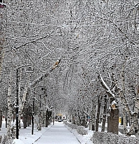 Doğuda kar yağışı etkisini sürdürüyor