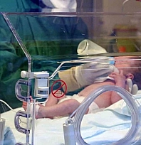 Doğum oranı günden güne düşüyor