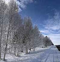 Dondurucu soğuklar yaşamı olumsuz etkiliyor