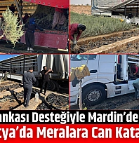 Dünya Bankası Desteğiyle Mardin'de Üretildi! Malatya'da Meralara Can Katacak...