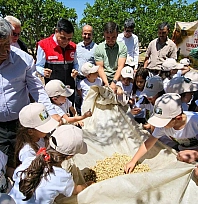 Dut hasadı başladı