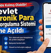 e-Devlet unutulan para sorgulama ekranı açıldı! Dijital cüzdanlarda paranızı unutmuş olabilirsiniz